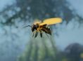 Skyrim y la abeja que puso patas arriba la intro de videojuego más famosa