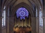 Visita la Catedral de Notre Dame este fin de semana sin salir de tu salón